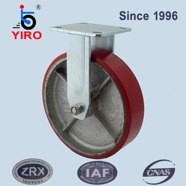 体坛联播｜U23国足今晚冲击亚洲杯四强曼城签下格伊